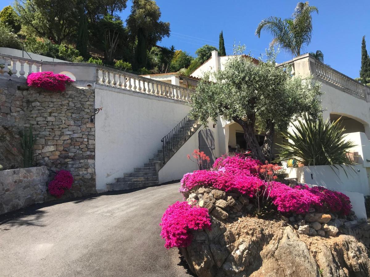 3 Bedrooms Villa Near Cannes - Pool & Jacuzzi - Sea View 망들리유 라 나플 외부 사진